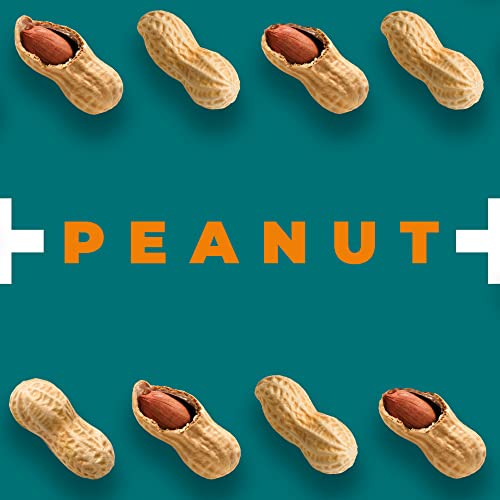 Zest Delites Fruit Leather Snacks With Peanuts, Fruit Roll Ups, Fruit Bars, Vegan Gluten Free Snacks, Organic Fruit Leather Healthy Snacks Bulk Pack, Healthy Snacks For Adults, 0.88 Oz X 8 #TOP4