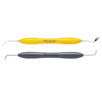 LM ARTE Series 2-Piece Composite Instrument Set