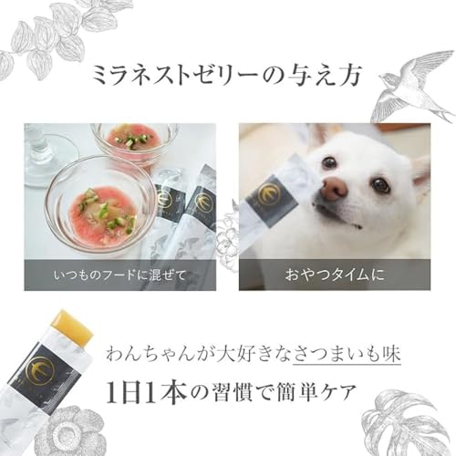 MIRANEST 犬用サプリメント スイートポテト味 Amazon.co.jp: BI-SU: Miranest