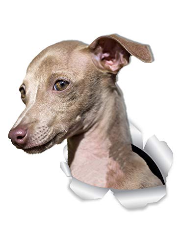 Winston & Bear Lot de 2 stickers muraux en 3D pour murs, voitures, toilettes et plus encore Motif lévrier