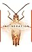 Incineration (The Incubation Trilogy Book 2)