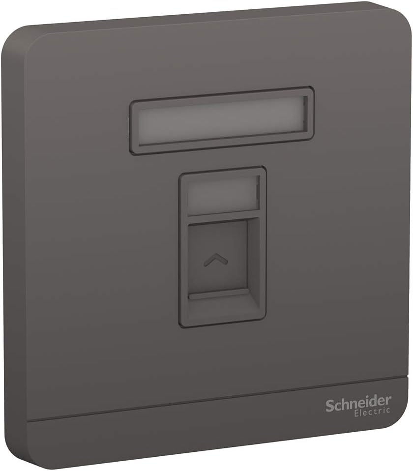 Schneider Electric E8331RJS_DG Avatar On 1 Gang Keystone Wall Plate Jack RJ-45 (Dark Grey)