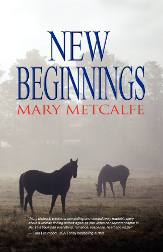 New Beginnings view 2