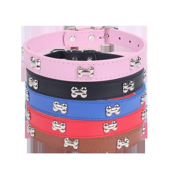 Patapalooza Metal Collar with Bone Shape Design, Durable and Adjustable, Ideal for Pet Control and Walking