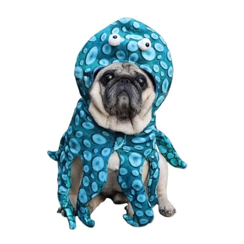 nEB ybg ybgpi RXv  JWA  }g ӂӂ _炩  ^ L ybgEFA u[ (L)