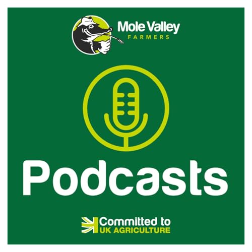 Trigger the next level of transition management in dairy farming