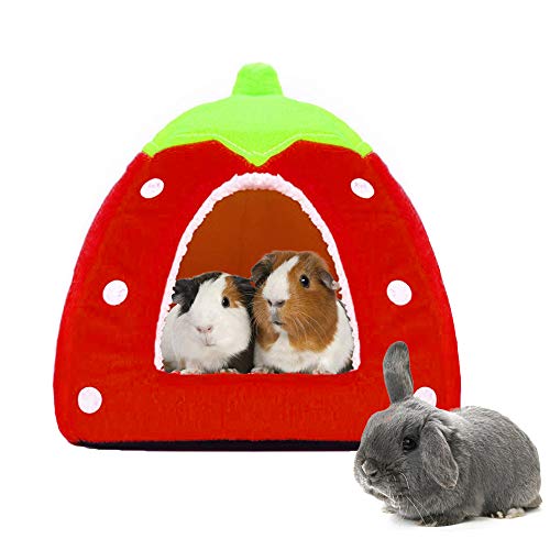 Best Cat Hutch