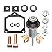 BLACKNANA Industrial Grade Starter Solenoid Rebuild Repair Set Plunger Spring Car Accessories Easy Installation for Auto