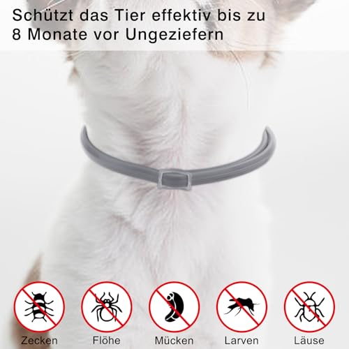 DEWEL 2pcs Hund Zecken Halsband, Zeckenband für Katzen, Natürliches Zeckenhalsband für Hunde und Katzen, Reflektierendes Halsband gegen Zecken & Flöhe, Flohhalsband gegen Zecken, Milben