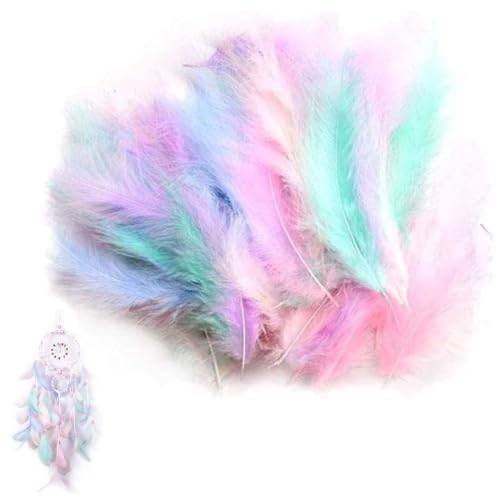 AUEFUDQ Lot de 200 Plumes colorées pour travaux manuels, Plumes de Bricolage, Coiffe Indienne pour Enfants, Accessoires de Bricolage pour Boucles d'oreilles,...
