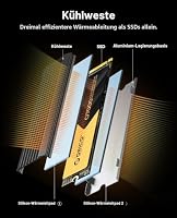 ORICO NVMe M.2 SSD 1TB, PCIe 4.0 x 4, 7000 MB/s Lesen, 6500 MB/s Schreiben, M2 2280 Interne SSD mit Kühlkörper für PC Desktop und Laptops-O7000 – Ansicht 5
