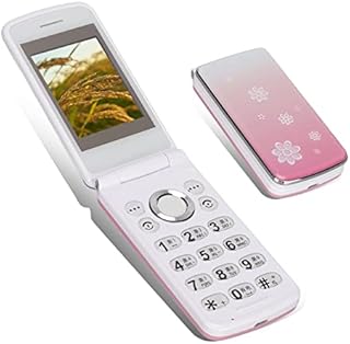 ASHATA Unlocked Flip Mobile Phone,2G Unlocked Flip Phone Dual SIM 2.4inch Flip Cell Phones,Big Button SOS Button GSM Large Icon Flip Cell Phone,for Elderly People Kids(Pink)