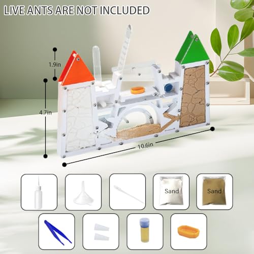 ELNMLHT Ant Farm Kit for Kids, Sand Ant Colony Ant Farms Terrarium Kit for Kids, Educational & Learning Science Kit Toy for Boys, Girls & Adults (Red Green) - Image 4