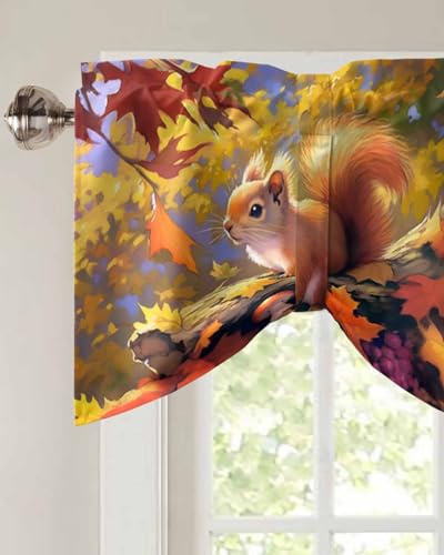 SODIKA Cortinas de amarrar de outono de Ação de Graças para janelas outono esquilo folhas de bordo c