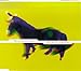 Horse Latitudes
