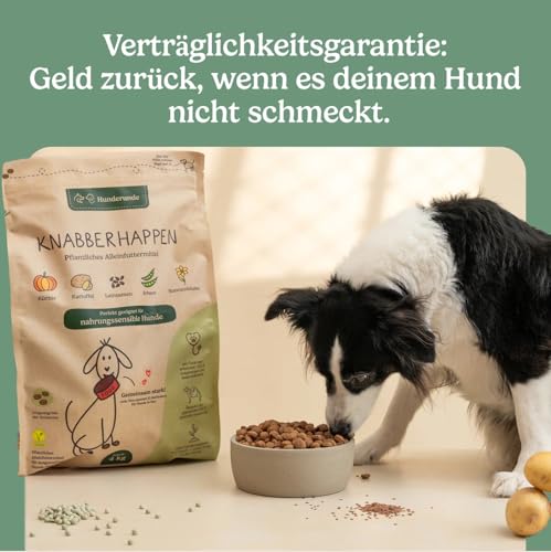 Hunderunde – Trockenfutter für Hunde 2x4kg – Knabberhappen Alleinfutter I vollwertig & pflanzlich I Kann die Verdauung & Fellglanz unterstützen I Insektenprotein Kichererbse Flohsamen Süßkartoffel