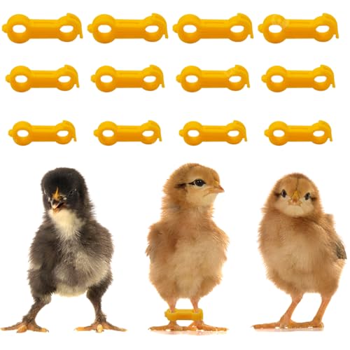 MOFIT 12Pcs Baby Chick Splay Leg Hobble Brace, Chick Leg Bands, Poultry Leg Bands for Newborn Spraddle Leg of Chick?Quails?Ducks?Bird Parrot of 1 to 3 Days Newly Hatched, 3 Sizes