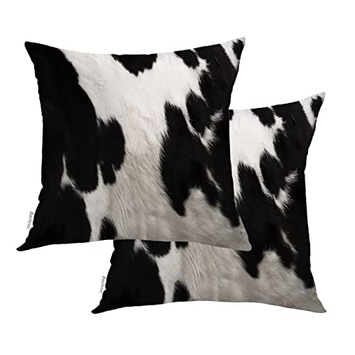 10 Best 10 Black And White Spotted Pillow 10 of 2022