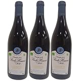 13% vol Chinon orgánico 2023 - Rojo AOC 13%, \