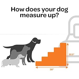 Best Pet Supplies Dog Stairs for Small Dogs & Cats, Foam Pet Steps Portable Ramp for Couch Sofa and High Bed Non-Slip Balanced Indoor Step Support, Paw Safe No Assembly - Lambswool, 5-Step Best Pet Supplies Dog Stairs for Small Dogs Cats Foam Pet Steps Portable Ramp for Couch Sofa and High Bed Non Slip Balanced Indoor Step Support Paw Safe No Assembly Lambswool 5 Step