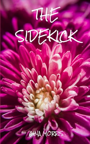 The Sidekick