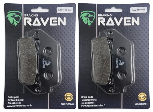 RAVEN Plaquettes de frein avant Compatible pour Honda CB 600 Hornet 1998-1999