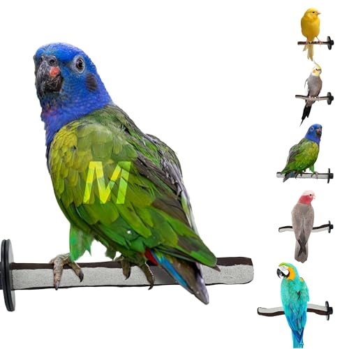 Image of Sweet Feet and Beak Superoost Manzanita Pumice Pedicure Perch- Easy to Install Bird Cage Accessories for Healthy Feet, Nails and Beak - Natural Bird Perches Imitates Birds' Life in The Wild - M 10 inch