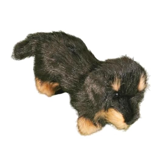 Förster Stofftiere 5507 Rauhaardackel 26cm