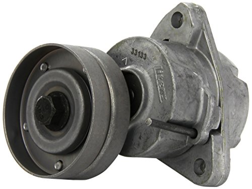 Ina 534 0118 20 - Braccio Tenditore, Cinghia Poly-V