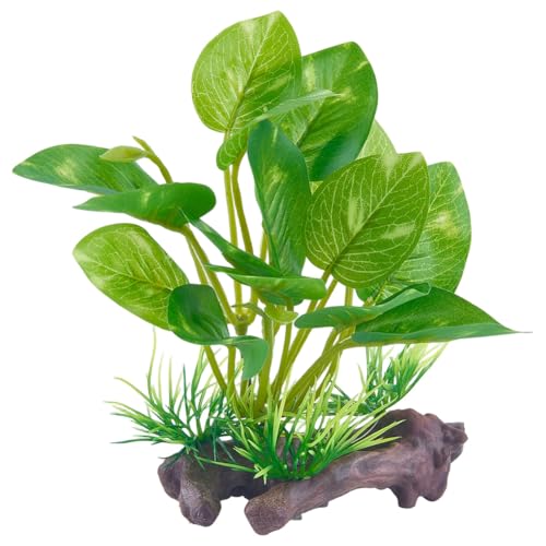 CREATCABIN Plantes Artificielles Plastique pour Aquarium Décorations Réalistes pour Reptiles Amphibiens Cachettes pour Poissons Rouges Bettas pour Aquarium Petite Grande Taille Terrarium 12x9.7x7.5cm