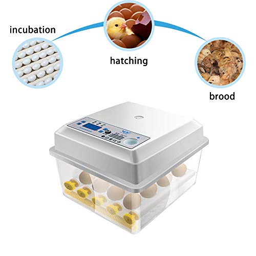 Joasinc Egg Incubator For Hatching Egg Full Automatic (16 Eggs) Turning And Humidity Control Humidity Monitoring Farm Duck Chicken Quail Egg Incubator Holiday Gift #TOP5