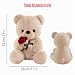 Imagen de LIHIQIYA Oso de Peluche con Rosa