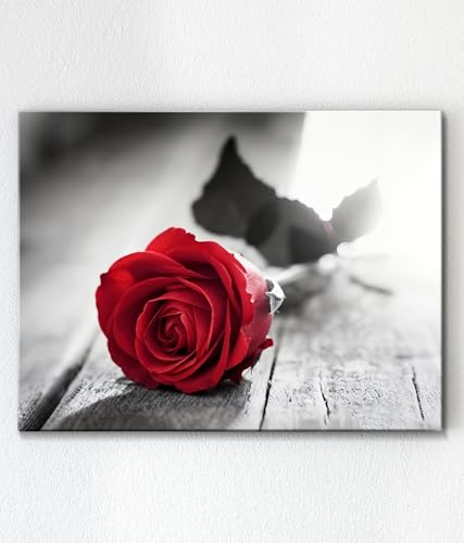 Red Wall Decor for Bedroom Red Bathroom Artwork Black and