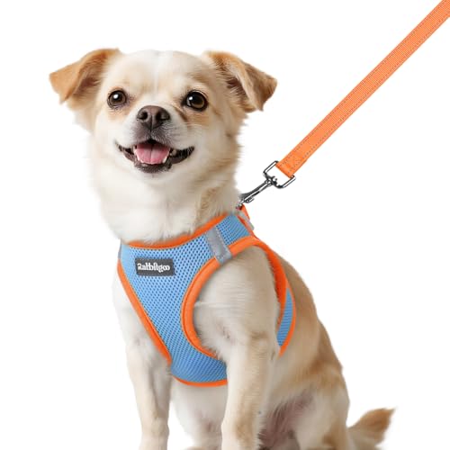 Rabbitgoo Step-In Harness & Leash Set (Light Blue & Orange, XXS)