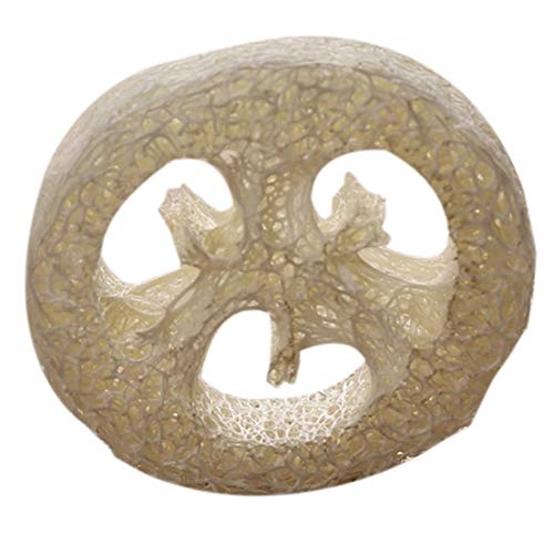 Wresetly 150i`w`}w`}w`}XCXւ܃\[v{bNXgCc[N[i[X|WtFCV\[vz_[