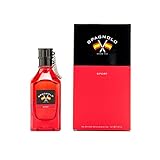 SPAGNOLO - Sport, Colonia Hombre, 75 ml, Perfume Formato Spray, Eau de Toilette Natural y Masculina, Aroma Amaderado Especiado, Fragancia Fresca, Enérgica y de Larga Duración