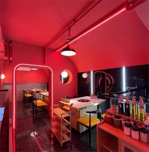 Image of 16.4 Feet LED Neon Strip Lights with 12V Adapter, Waterproof IP65, Silicone Flexible Rope Light for Home Wall Decor | Neon Lights | 5 Meter | Neon Rope Light | (RED)
