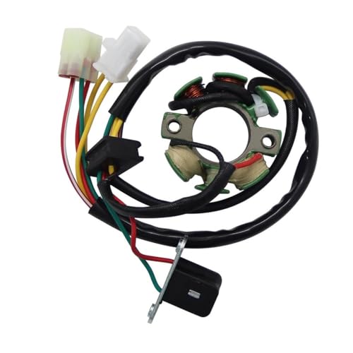 Stator d'allumage moto anti-panne pour TE250 TC250 TE450 SMR450 pièce 8000A1430