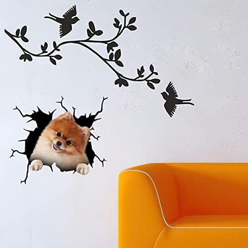 Pomeranian Stickers Decals Pomeranian Dog Gifts Funny Warning Car Sticker for New Driver 3D Trucking Aufkleber