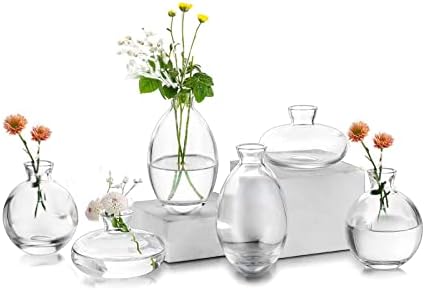 Small Vases for Centerpieces Glass Esmiome - Clear 2sets(6Pcs) Bud Vases, Short Minimalist Vase Clear Modern Flower Vase Mini Tiny Vases Cute Handmade for Home Wedding Decor Decorative, Bookshelf