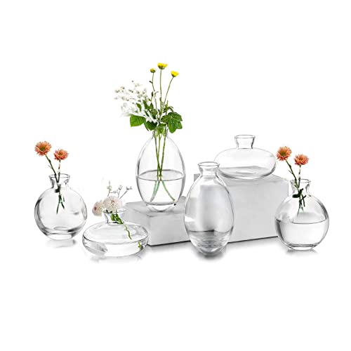 Small Vases For Centerpieces Glass Esmiome - Clear 2Sets(6Pcs) Bud Vases, Short Minimalist Vase Clear Modern Flower Vase Mini Tiny Vases Cute Handmade For Home Wedding Decor Decorative, Bookshelf #TOP3