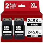 245XL Black Ink Cartridges Replacement for Canon 245XL PG-243 XL PG-245 XL Compatible with Canon Pixma MX490 MX492 TR4520 MG3022 MG2522 MG2920 MG2420 MG2520 TS3322 Printer (2 Black)