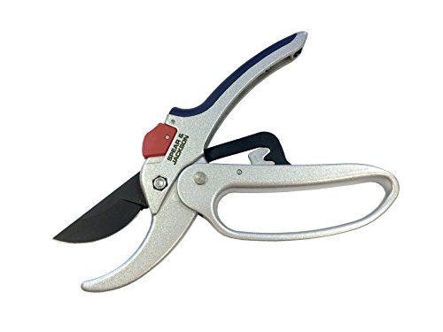 Spear & Jackson 6758Gs Razorsharp Geared Anvil Secateurs #TOP3