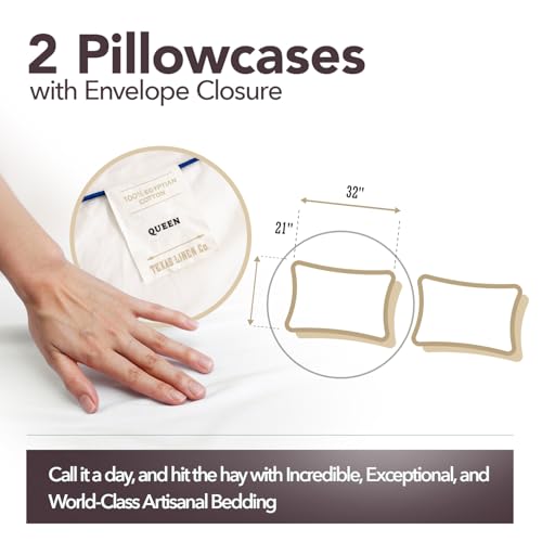 Image of TEXAS LINEN CO. 100% Egyptian Cotton Pillowcases Queen Size Set of 2 - Luxury 2000 Series Standard /Queen Pillow Cases, Soft, Envelope Closure Hotel Quality Pillowcase (21 x 32, Light Grey)