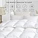 Luxurious White Solid Medium Weight, Palatial King Size Goose Feathers Down Comforter for All-Season Weather, 120 X 98 inches, Premium Baffle Box, 100% Egyptian Cotton Cover, 85 oz. Fill Weight