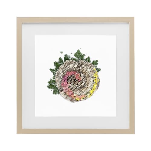 'Honeycomb with Botanicals'| Framed Print Under Glass