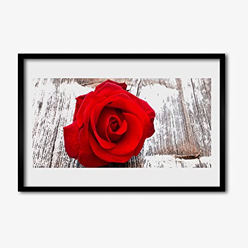 Affiche encadrée 60x40 cm rose flower plante nature avec élégant cadre en mdf tulup