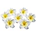 Produktbild HugeStore 100er 6CM Plumeria Hawaiian Frangipani Schaumblüte für Hochzeit Party Dekoration Weiß
