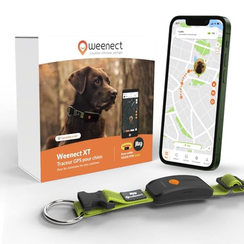 Weenect Chien XT - Nouveau Collier GPS pour Chien |
