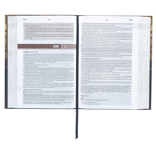 NLT Holy Bible Everyday Devotional Bible for Men New Living Translation